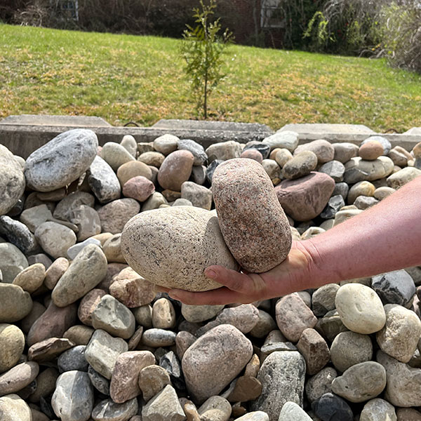 Elkin Lawn and Garden showing a picture of their 4"-8" Landscaping New England River Rock. Their is picture of a pile of stones with a hand holding two large stone covering the one hand. This river rock offers a colorful red, grey, and brown. You may even find an occasion pink or black stone in the bunch. Its offers smooth rounded edges and will welcome dimension to a purposeful strategically placed above the smaller stones or along bed edges. Can be used for erosion controlinstead of rip rap for a more pleasing visual appeal.