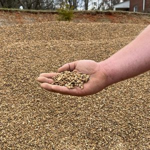 Elkin Lawn and Garden showing a picture of how small their pea gravel is. The 1/4" - 1/2" (Pea Gravel) Landscaping Virginia River Rock.  This stone comes out of Virginia and has a beautiful natural Brown color. Its irregular shapes adds to the beauty. Perfect for walkways around steppingstones, picnic and firepit areas. ​